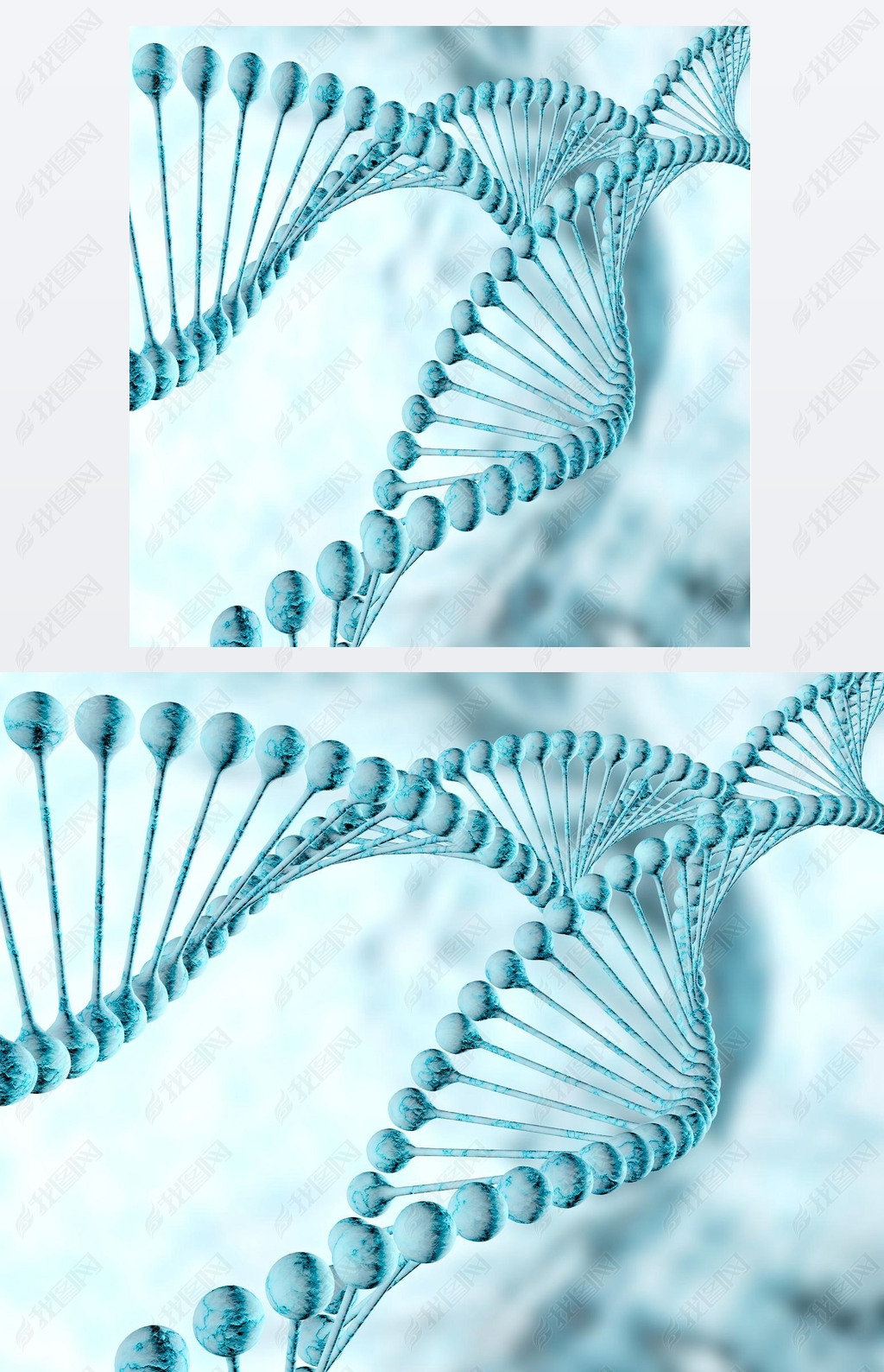 dna ṹ