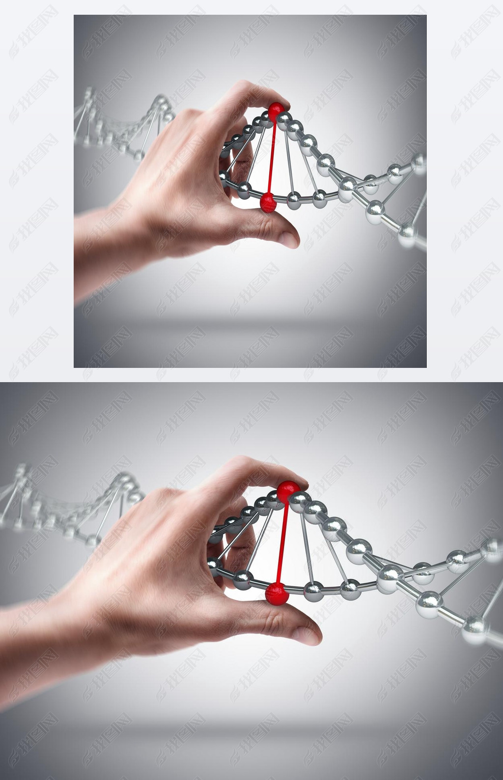 ֿعɽ Dna 