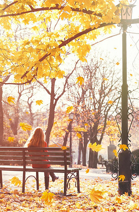 美丽的秋天树叶背景.