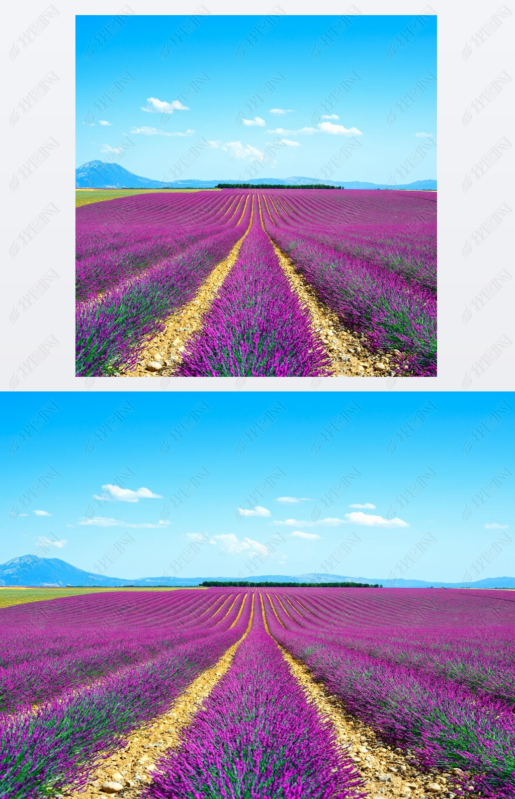 Ѭ²ݻֶֹСvalensole ˹