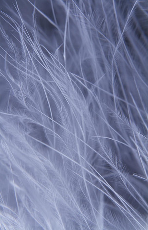 白色羽毛背景下载-编号25507442-背景素材-我图网