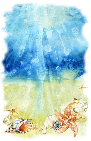 原创水彩海底插图与贝壳和海星