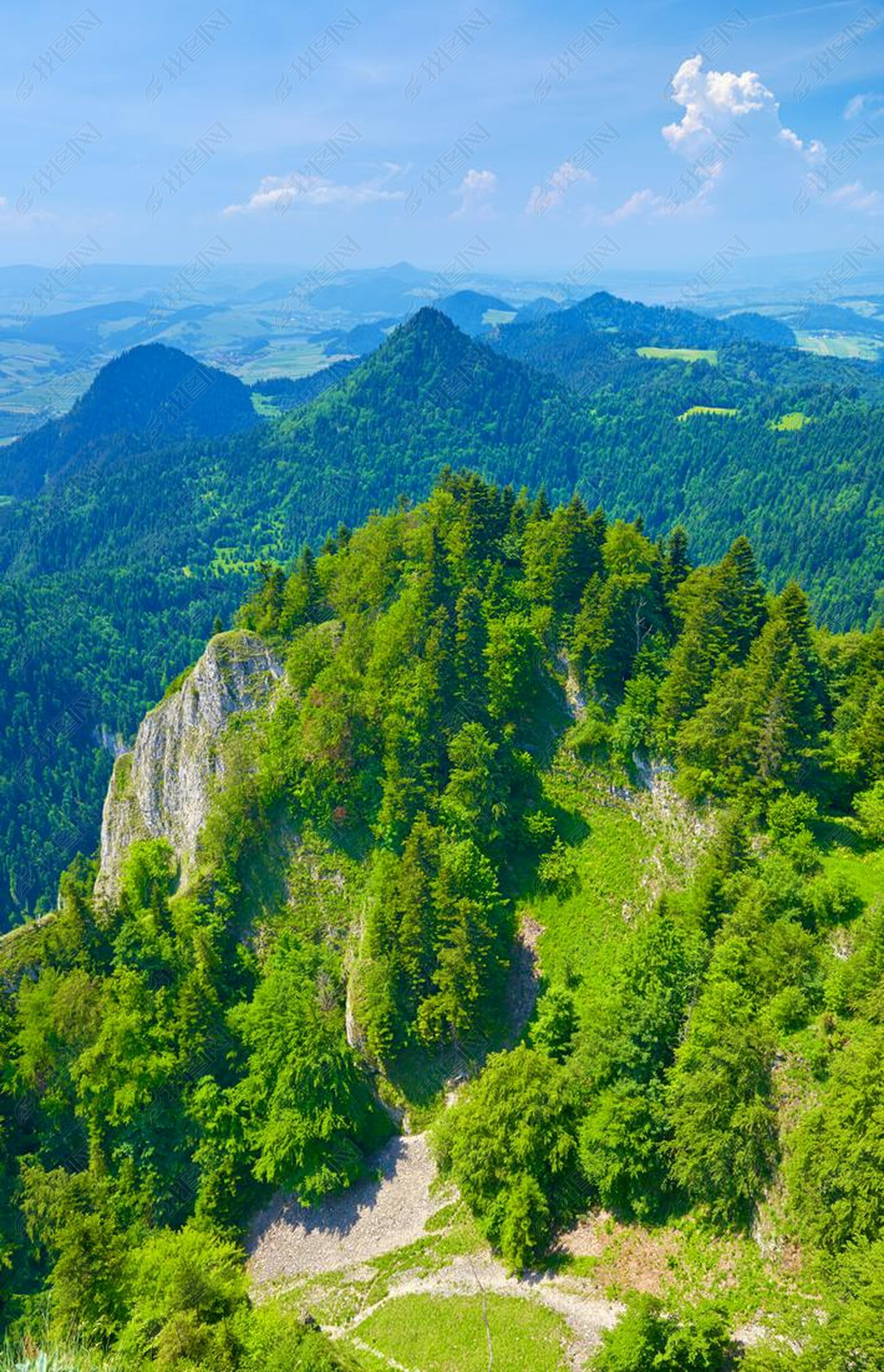原创夏日风景pieniny山自然保护区版权可商用