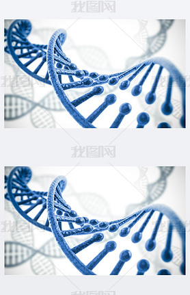 dna ṹ 󱳾 3d Ⱦ