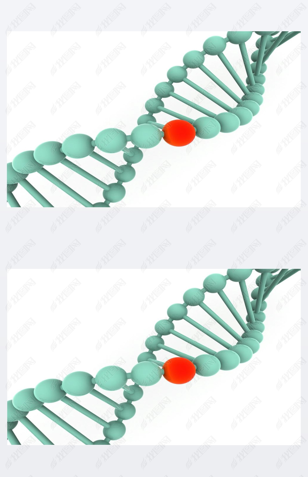  dna 