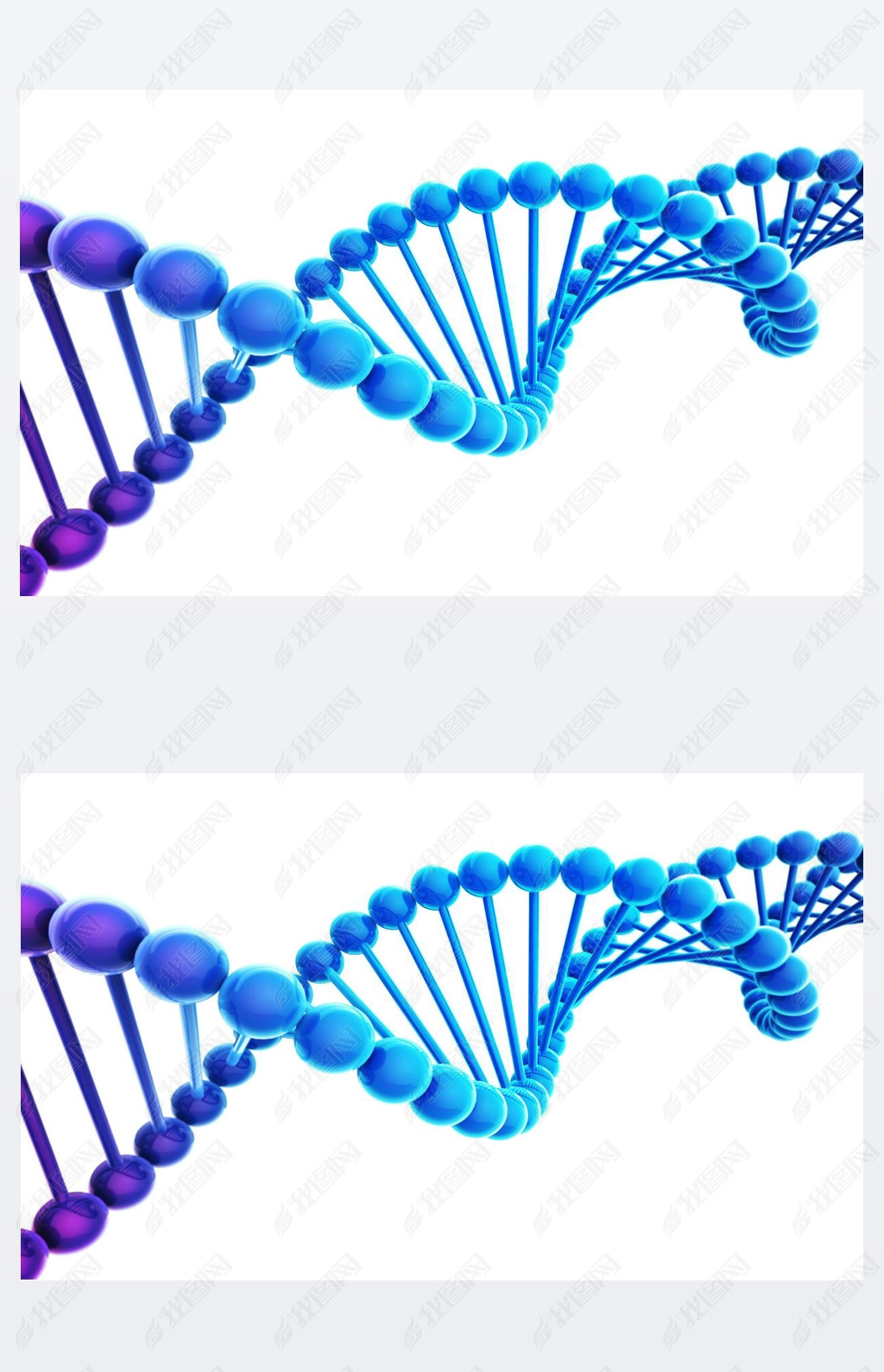 ɫϵɫ Dna 