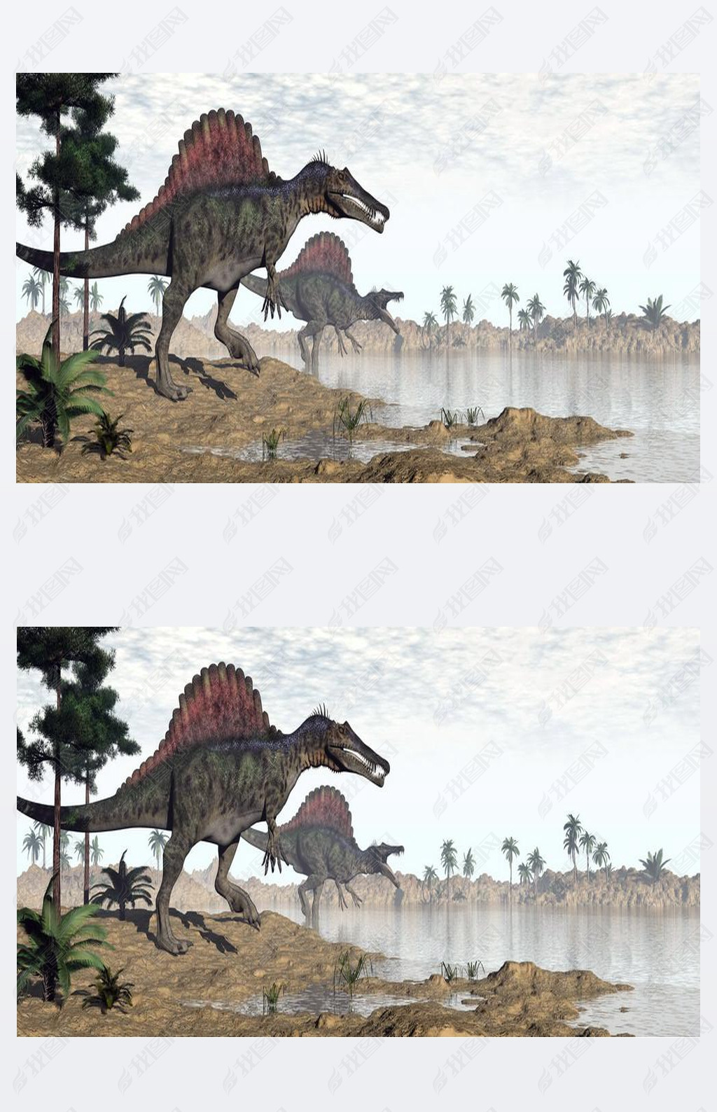 Spinosaurus Dinosaurier in Wste - 3d render