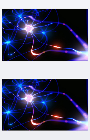 神经元的电脉冲