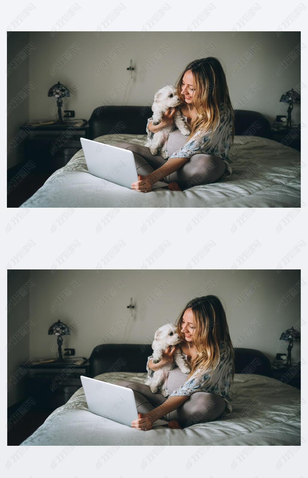 young woman indoors at home sitting bed using laptop computer holding dog - social network, wifi tec