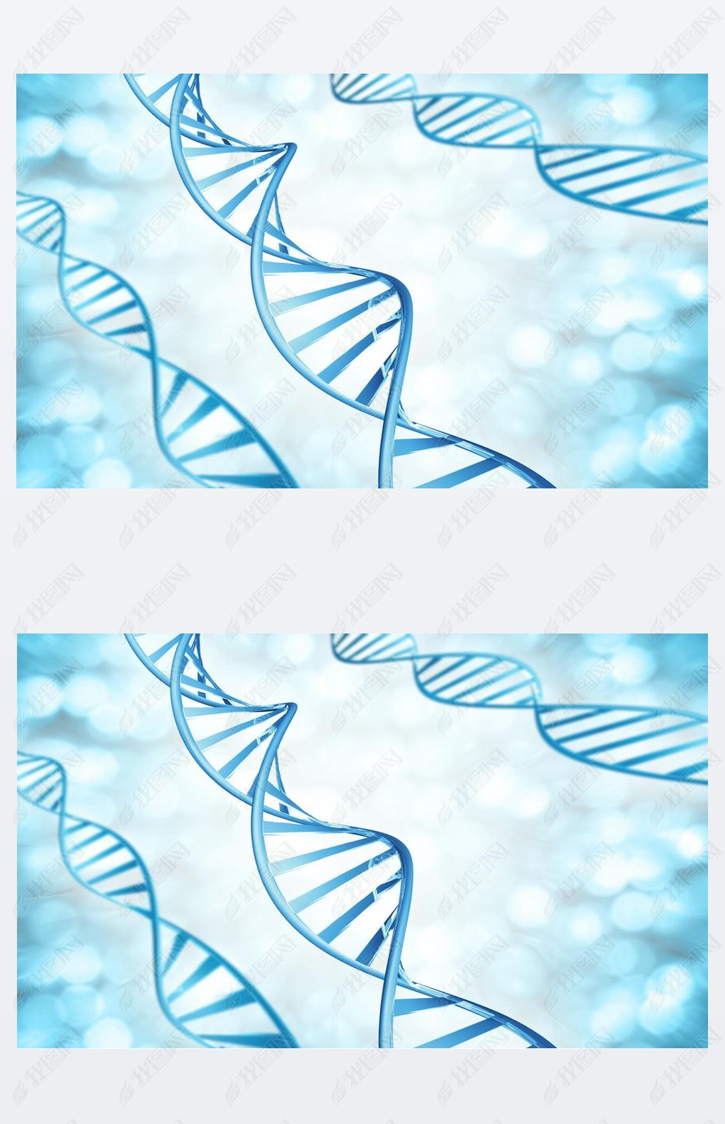 Ŵ Dna Ŵ