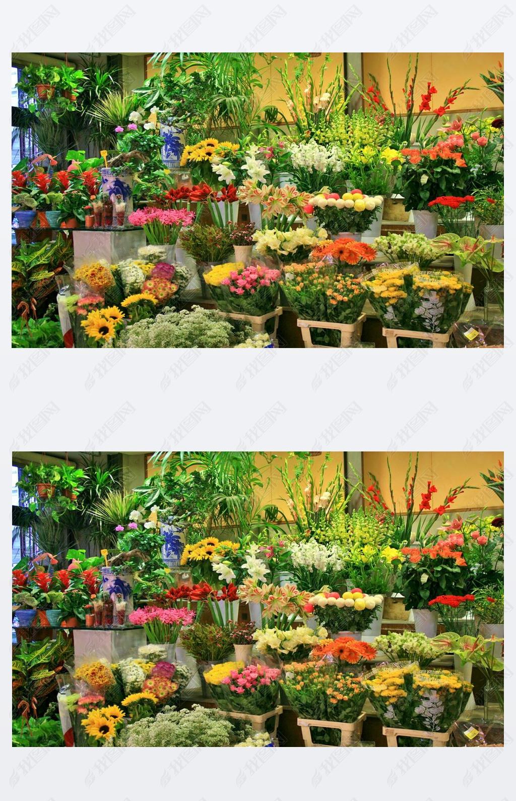 Florist ? Shop