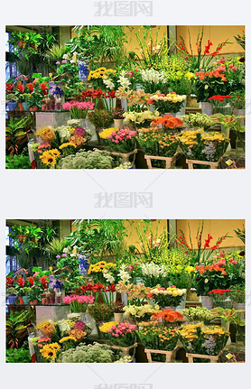 Florist ? Shop