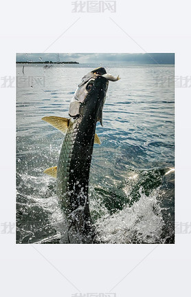 ˮ---- caye caulker