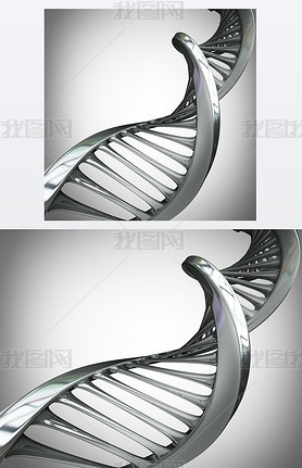  dna 