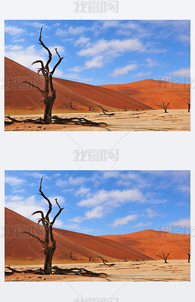 ù¶Ǽܣdeadvlei ױ