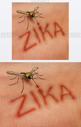 Zika 