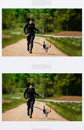 Sport girl is running with a dog (Beagle) on the rural road towadrds camera.