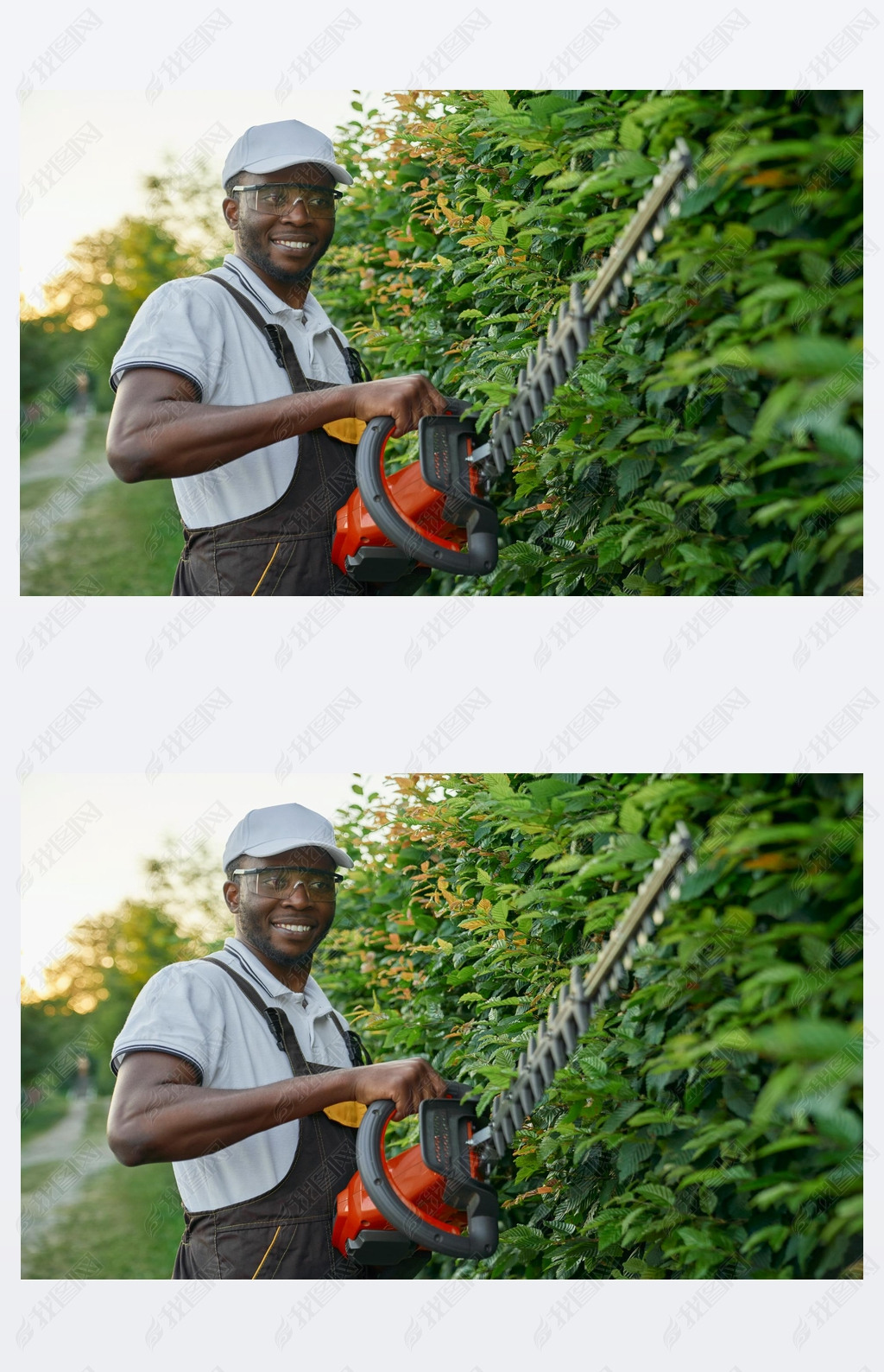 Smiling afro gardener using hedge trimmer for cutting bushes