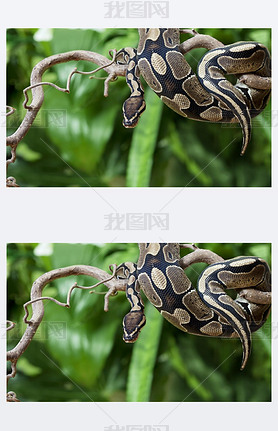 ʼ python ľ֦