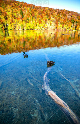 ޵Plitvice Jezera԰Ѽ.