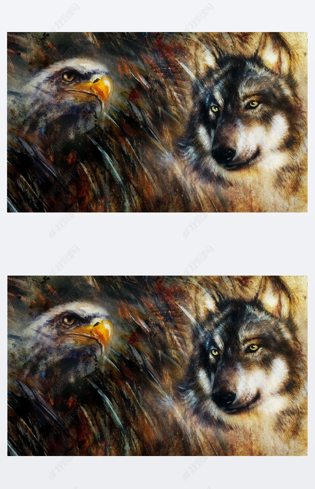 鹰和狼图片素材-编号10848201-图行天下