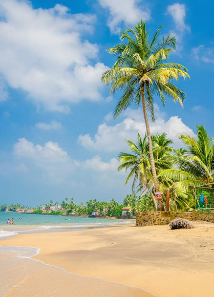 充满异国情调的棕榈树和沙滩下载-编号25530124-自然风景-我图网