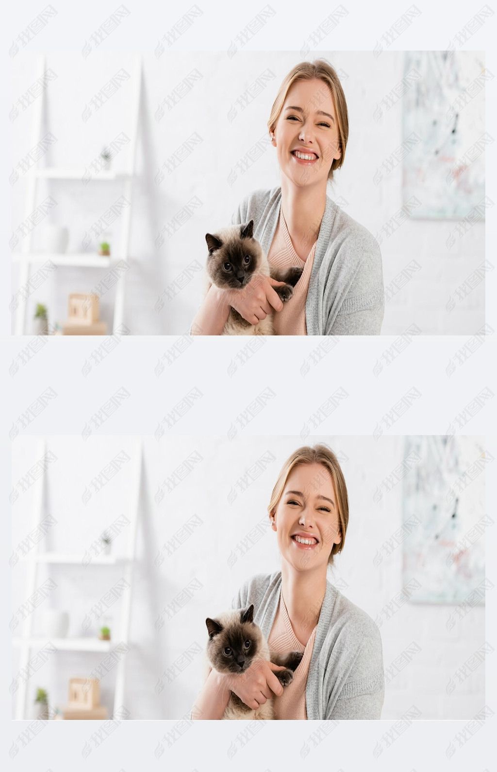 Positive woman holding siamese cat at home, banner 