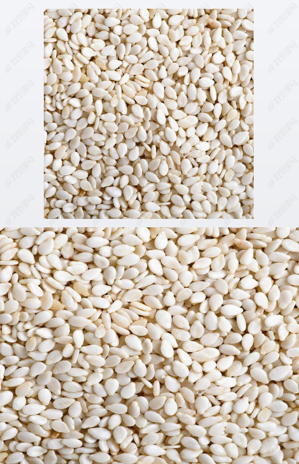 Sesame seeds (pine nuts)