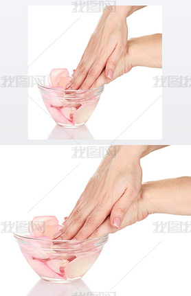 Beautiful female hands and rose petals