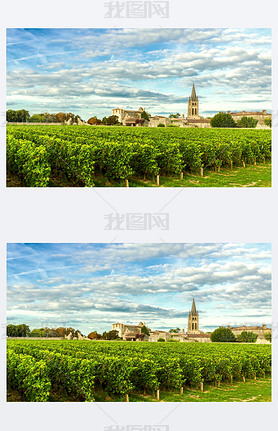 Vineyards of Saint Emilion, Bordeaux Wineyards in France in a sunny day