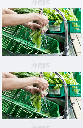 Hand washing leafy vegetable with running water in household sin