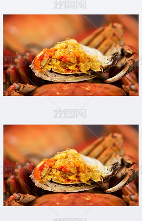 steamed chinese mitten crab or hairy crab with lots of crab roe