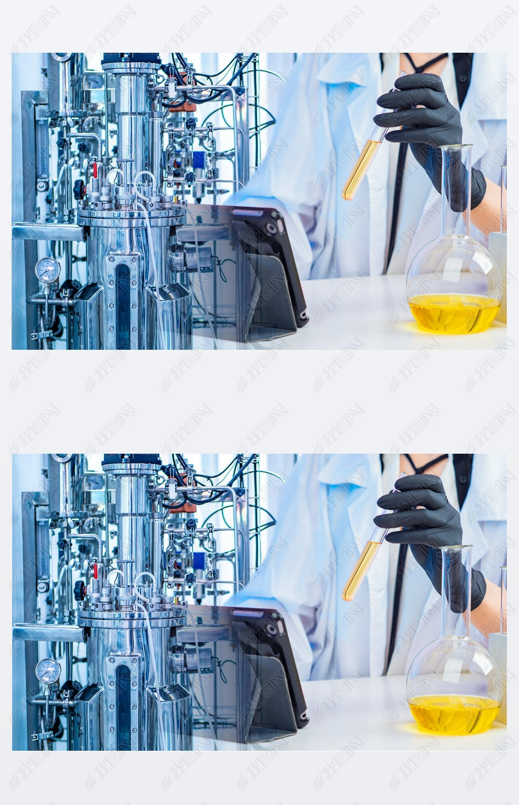 Conducting fermentation reactions. Research in the field of Microbiology. Development of live vaccin