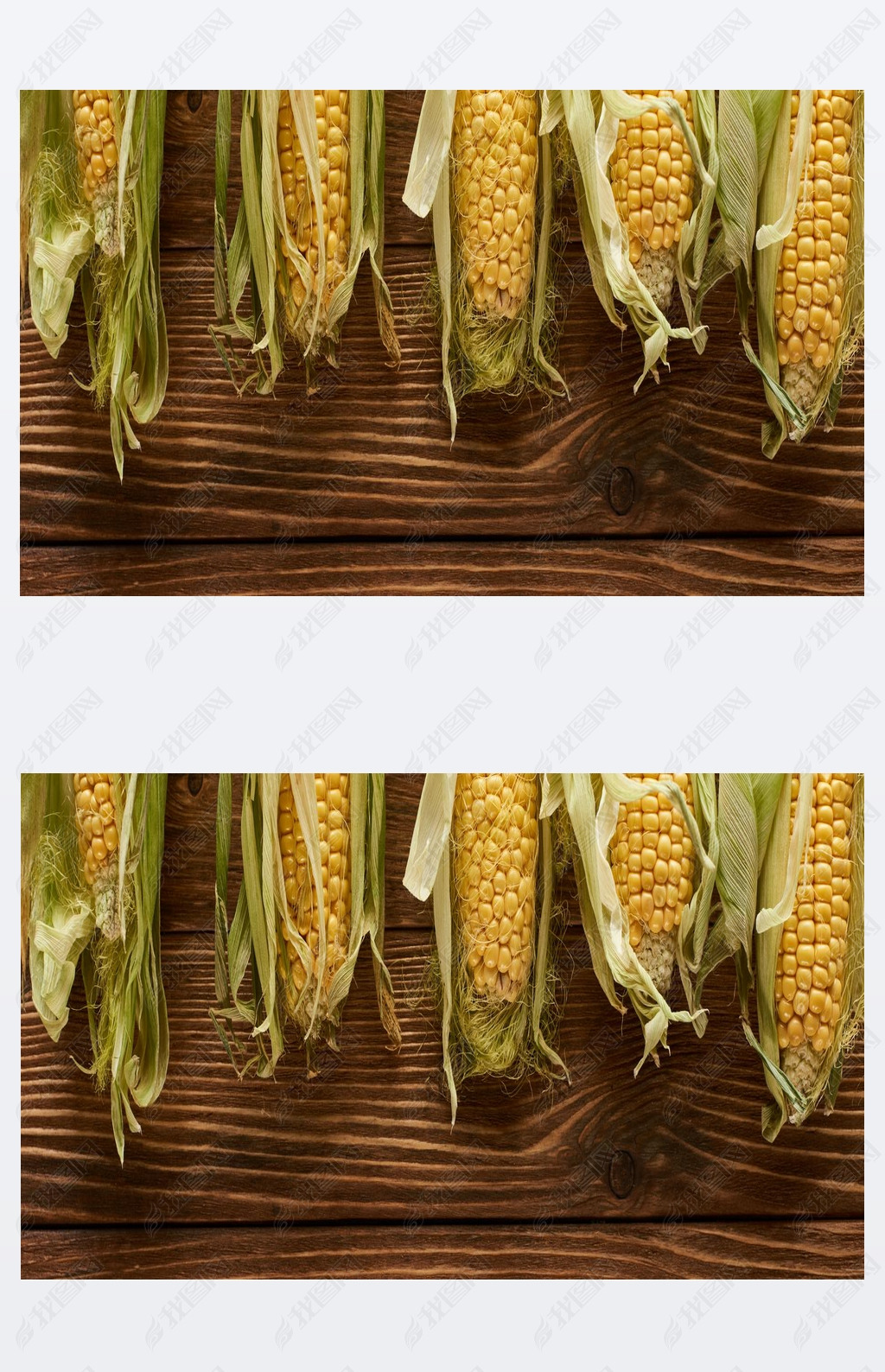 panoramic shot of fresh corn on brown wooden surface with copy space