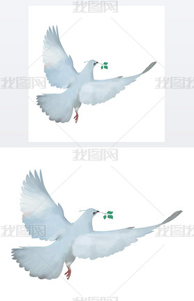 Flying white dove