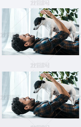 side view of iling and handsome bi-racial man holding Jack Russell Terrier