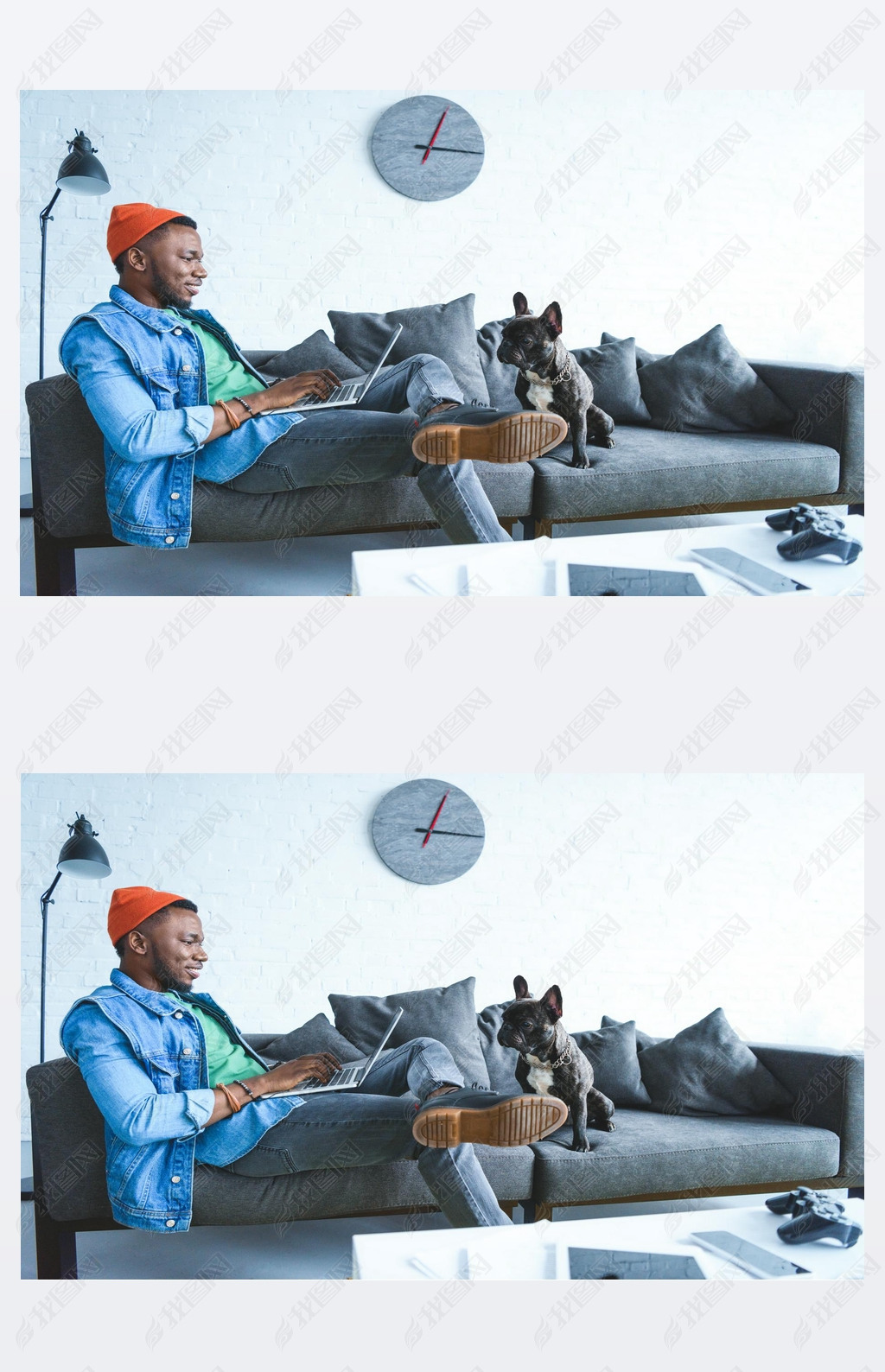 Frenchie dog by owner african american man working on laptop