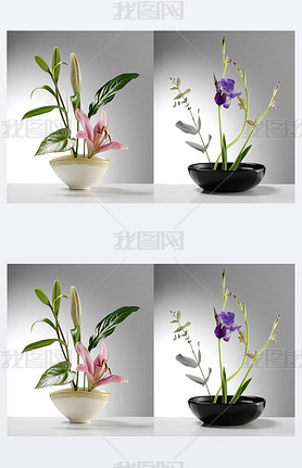 japanese ikebana