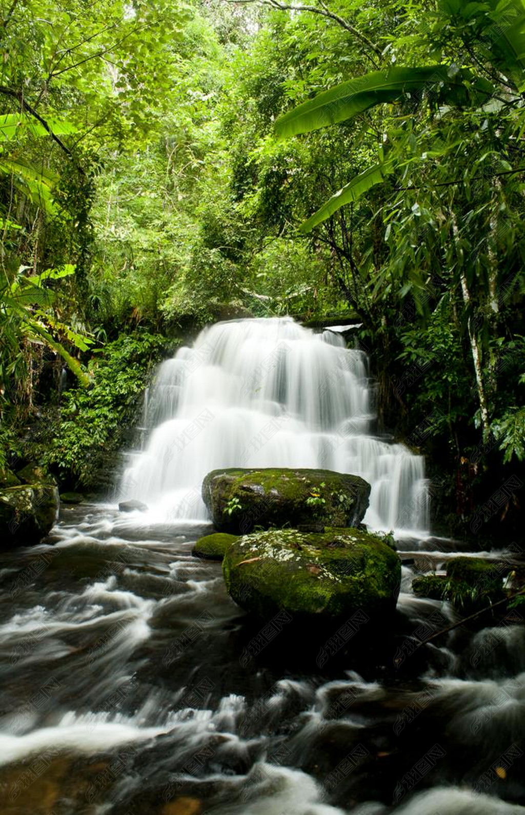 Waterfalls in deep forest