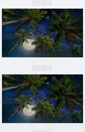 Silhouette coconut palm tree with the full Moon and Milky way galaxy on night sky. (Elements of this