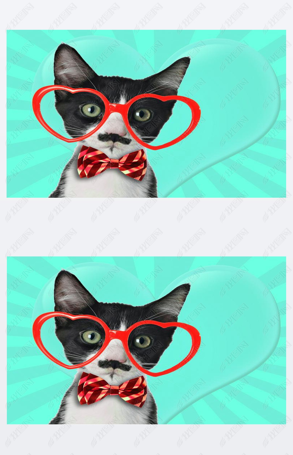Cute black and white kitten with moustache and bow tie, wearing heart shaped eye glasses for Valenti