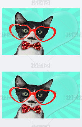 Cute black and white kitten with moustache and bow tie, wearing heart shaped eye glasses for Valenti