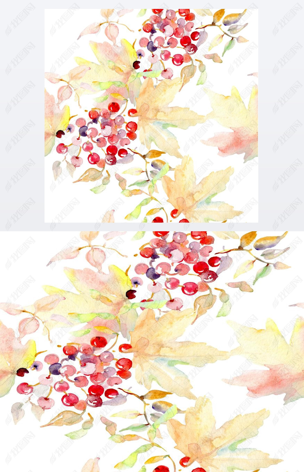 Bouquet of autumn forest fruits. Wild spring leaf isolated. Watercolor illustration set. Watercolour