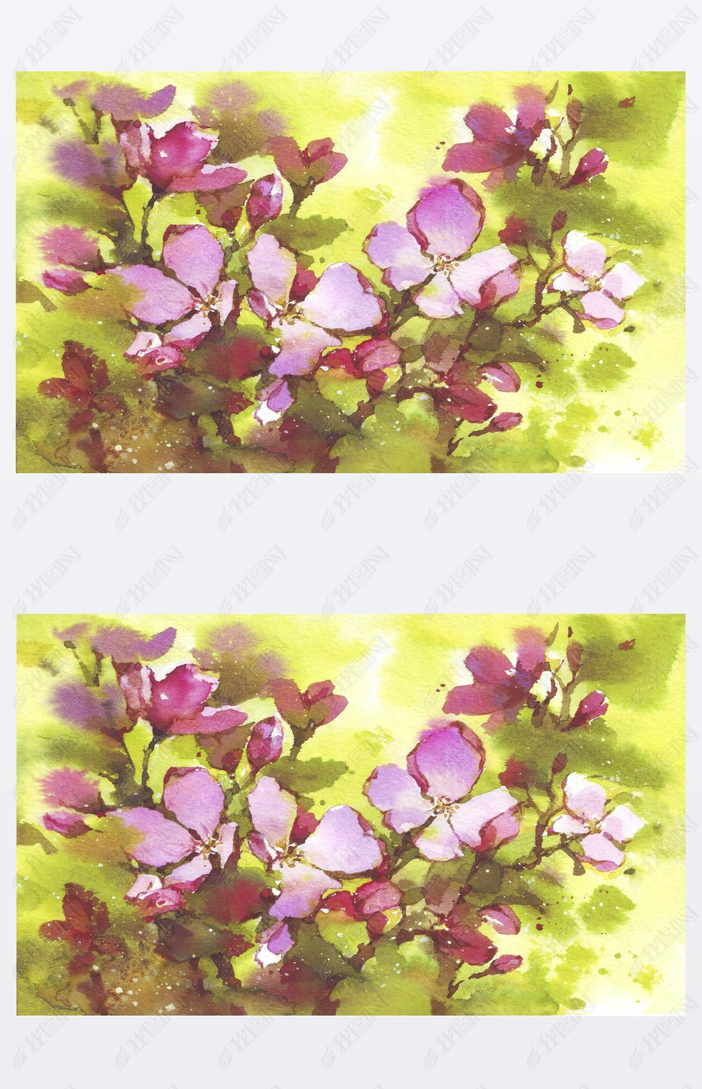 Cute watercolor twig of blooming cherry tree. Sketch hand drawn cherry branches with lees, pink bu