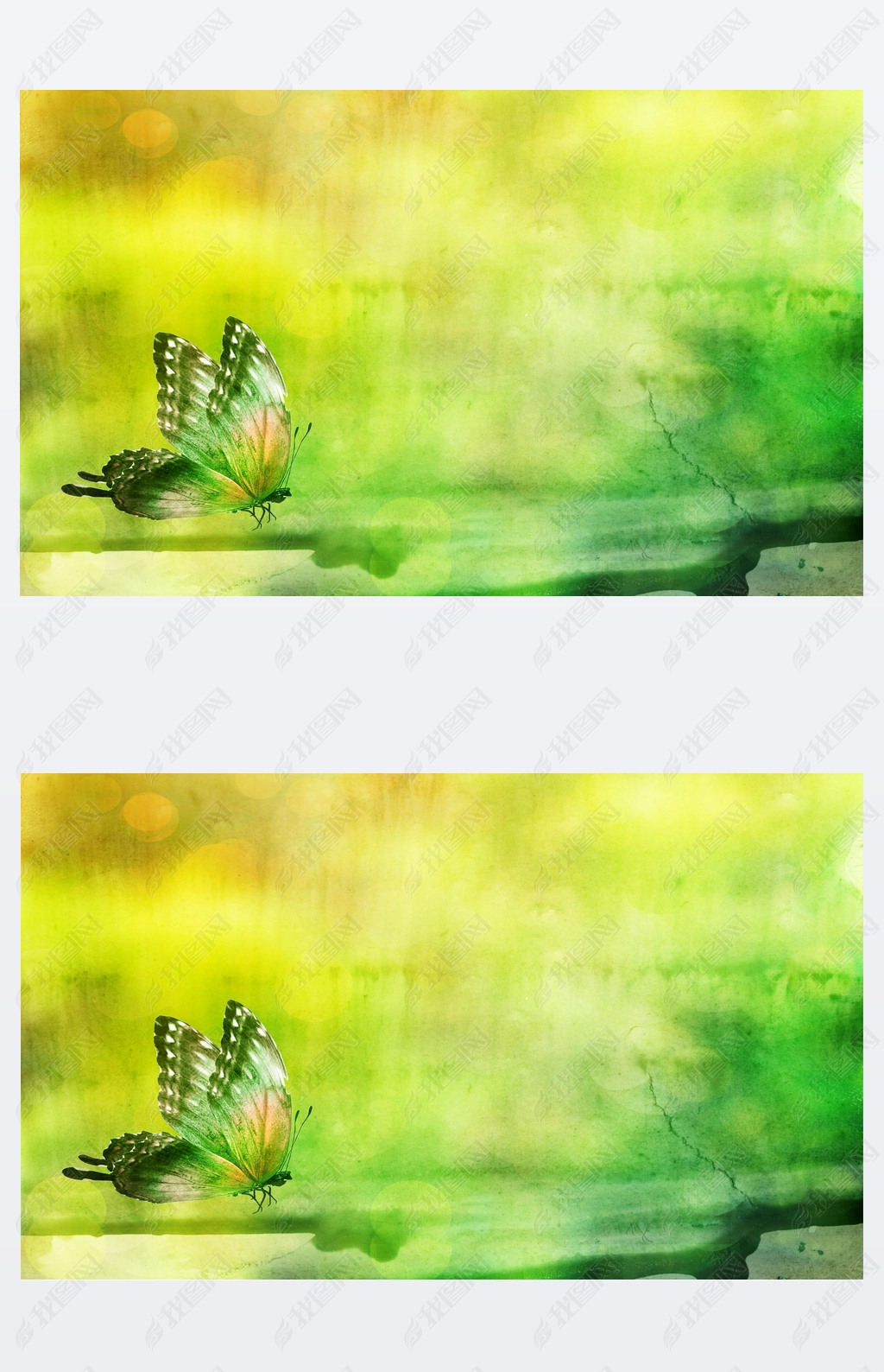 Natural background with butterly. Watercolor