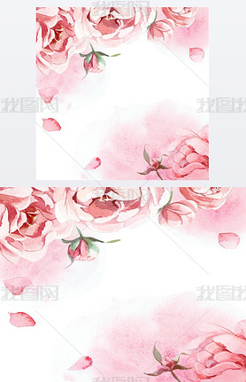 watercolor pink, rose, and red peonies on rose background for gr