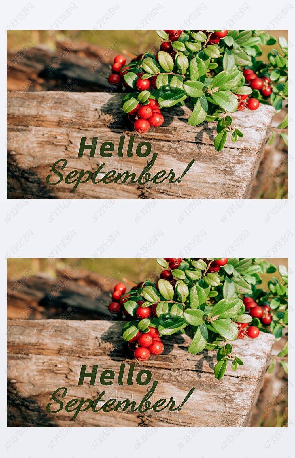 ׮кɫĸӡHELLO, SEPTEMBER,,ĸ.ѡؾ۽ǳˮ