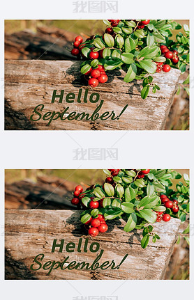 ׮кɫĸӡHELLO, SEPTEMBER,,ĸ.ѡؾ۽ǳˮ