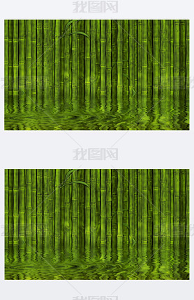 Bamboo forest