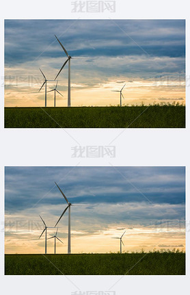 Wind generators in green fields